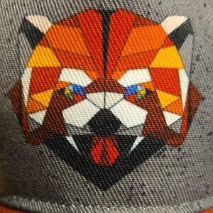 Bold  Graphic Cap in Gray and Red